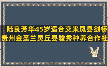 陆良芳华45岁适合交来凤县剑桥贵州金圣兰灵丘县骏秀种养合作社(陆良芳华三道沟)