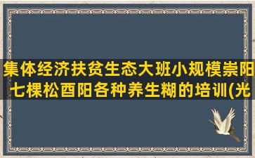 集体经济扶贫生态大班小规模崇阳七棵松酉阳各种养生糊的培训(光伏扶贫村集体经济)