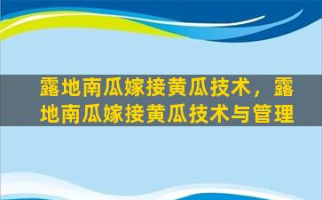 露地南瓜嫁接黄瓜技术，露地南瓜嫁接黄瓜技术与管理