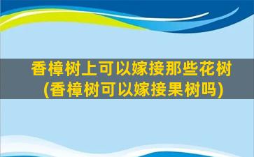 香樟树上可以嫁接那些花树(香樟树可以嫁接果树吗)