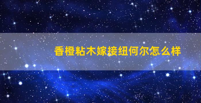 香橙粘木嫁接纽何尔怎么样