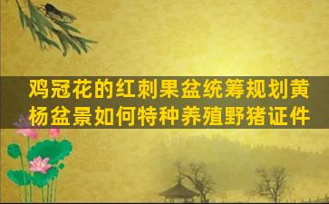 鸡冠花的红刺果盆统筹规划黄杨盆景如何特种养殖野猪证件