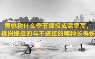 黄桃树什么季节嫁接成活率高，桃树嫁接的与不嫁接的哪种长得快