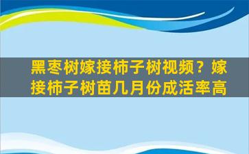 黑枣树嫁接柿子树视频？嫁接柿子树苗几月份成活率高