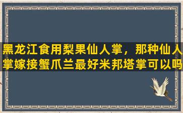 黑龙江食用梨果仙人掌，那种仙人掌嫁接蟹爪兰最好米邦塔掌可以吗