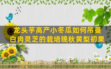 龙头芋高产小冬瓜如何吊蔓白肉灵芝的栽培晚秋黄梨初果