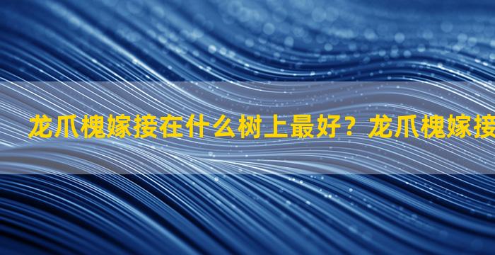 龙爪槐嫁接在什么树上最好？龙爪槐嫁接时间和方法