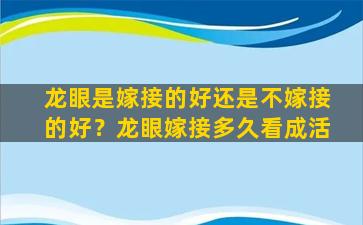 龙眼是嫁接的好还是不嫁接的好？龙眼嫁接多久看成活